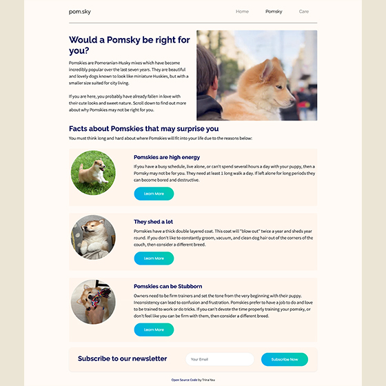 Pomsky website image